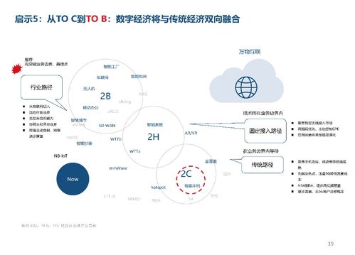 數(shù)字經(jīng)濟(jì)的脈絡(luò)與未來 產(chǎn)業(yè)鏈圖譜解析及浙江軟件開發(fā)的實(shí)踐啟示